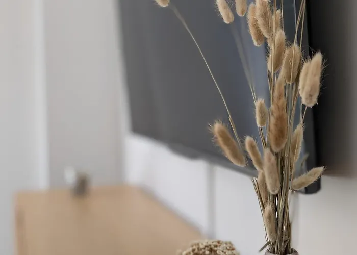 Le Du Moulin - Netflix - Wifi - Garage Appartement